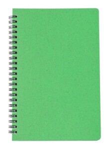 Roshan jegyzetfüzet zöld AP722568-07