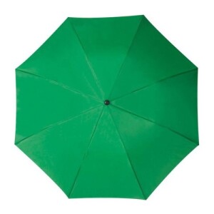 Lille összecsukható esernyő zöld 518809