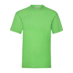 Fruit VALUEWEIGHT T lime F023007